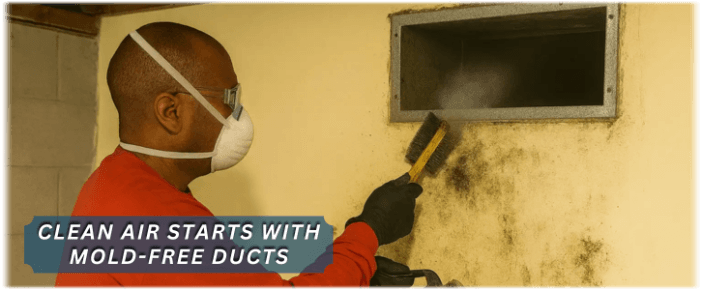 Air Duct Mold Removal in Santa Monica