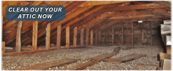 Attic Cleaning Santa Monica