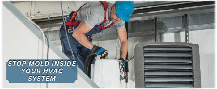 HVAC Mold Removal Santa Monica